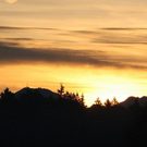 normal_27112011sonnenaufgangpettingkjaktivnews_012.jpg