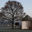 normal_27112011sonnenaufgangpettingkjaktivnews_013.jpg