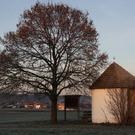 normal_27112011sonnenaufgangpettingkjaktivnews_026.jpg