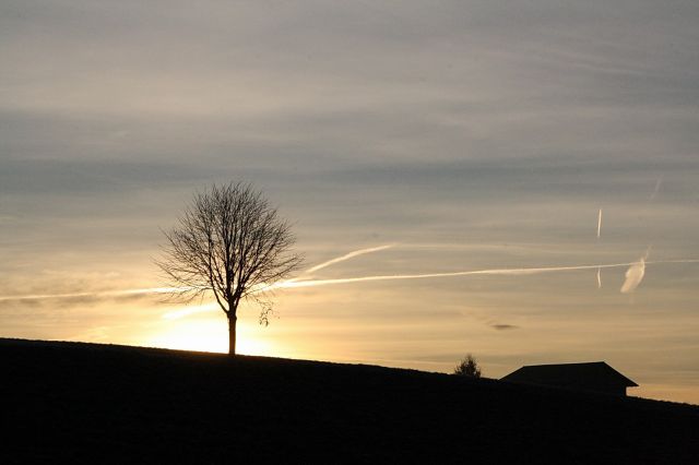 normal_27112011sonnenaufgangpettingkjaktivnews_038.jpg