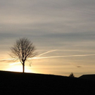 normal_27112011sonnenaufgangpettingkjaktivnews_038.jpg