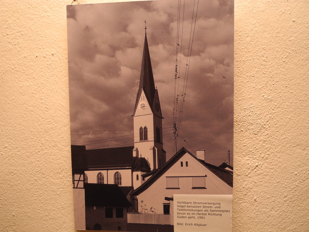 DSCN8087_JPG-1322476731