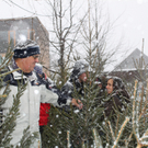 Christbaummarkt Fraxern 21-12-2009 _18_.jpg