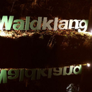 Bilder vom Waldklang