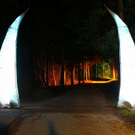 normal_27112011fmt_waldklang_ta_002.JPG