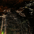 normal_27112011fmt_waldklang_ta_004.JPG