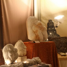 normal_27112011fmt_waldklang_ta_021.JPG