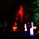 normal_27112011fmt_waldklang_ta_028.JPG