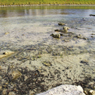 normal_28112011fmt_trockenheit_mw_09.JPG