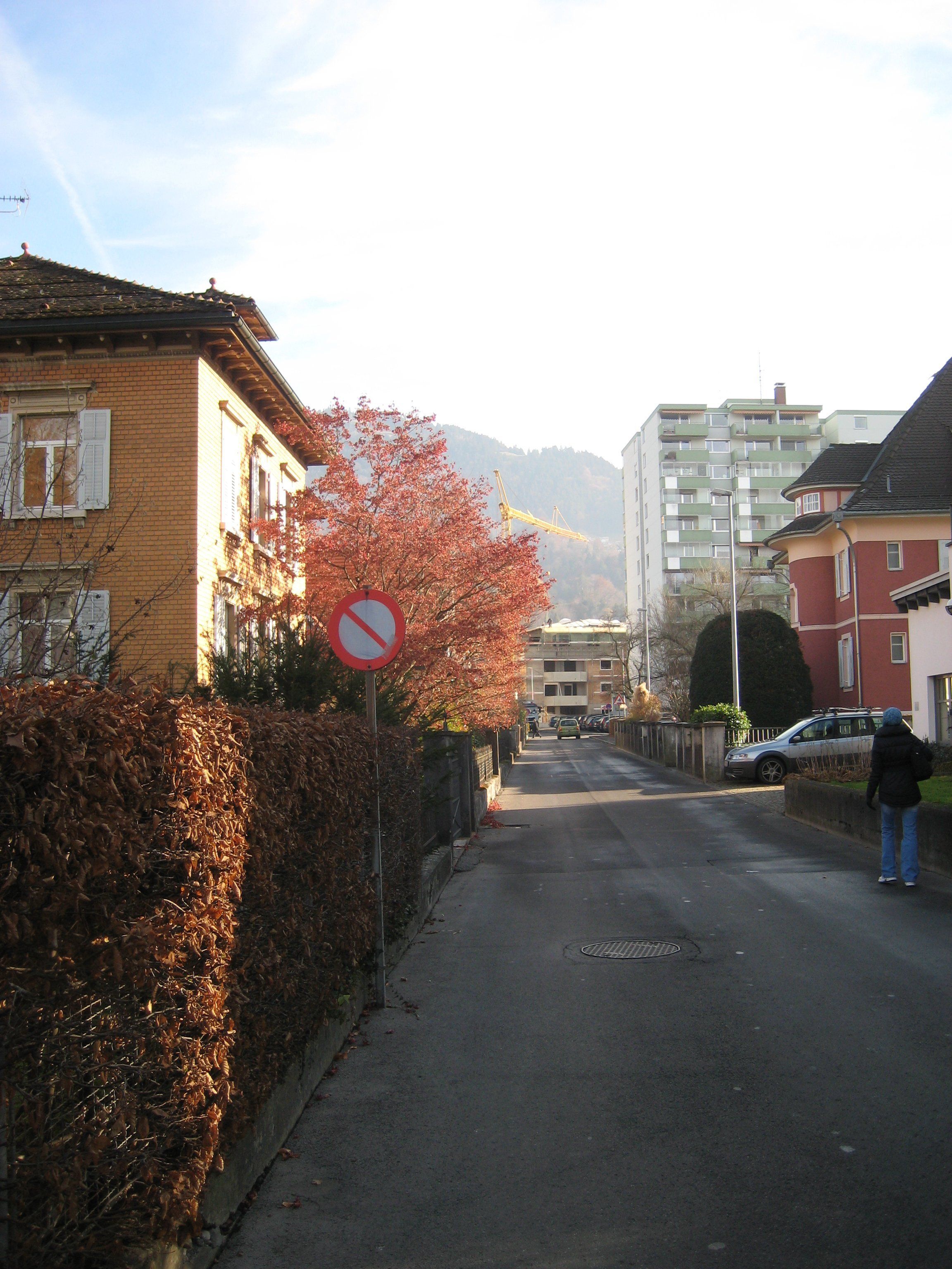 IMG_5847.JPG