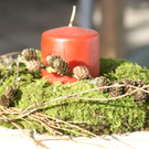 DSC02188.JPG