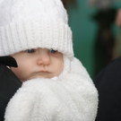 DSC02201.JPG