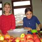 IMG_7906_JPG-1322501821