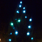 Lichter12Baum_jpg-1322561931