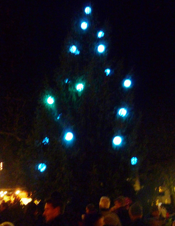 Lichter12Baum_jpg-1322561931
