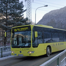 Orts- und Skibus