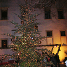 Punsch7_jpg-1322581180