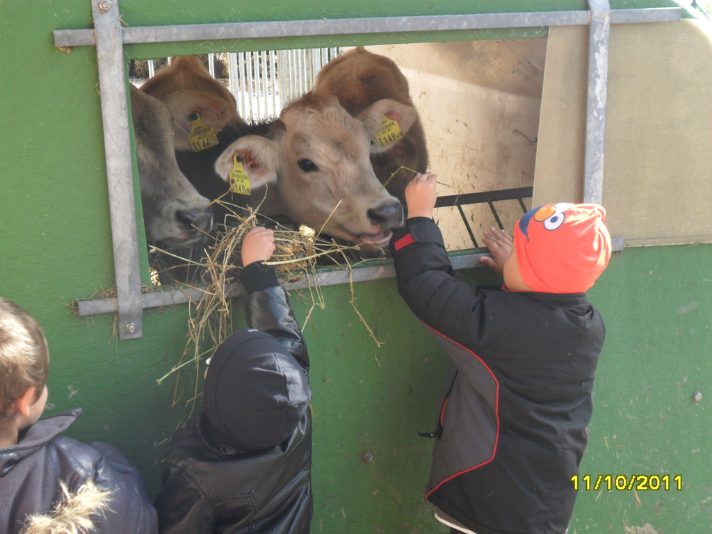 SG 2011 12 M04 014.jpg