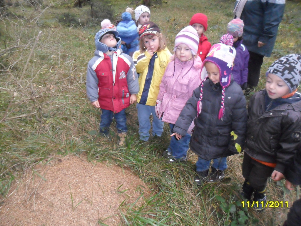 SG 2011 12 M04 068.jpg
