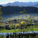 Weinlese Blaufr__nkisch _Rebeln 29_10_2010 001 _90__JPG-1322640256