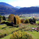 Weinlese Blaufr__nkisch _Rebeln 29_10_2010 001 _95__JPG-1322640276