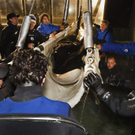 DAB1346-20111129.jpg