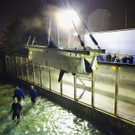 DAB1342-20111129.jpg