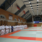 dc1-5scm0v3jn7alhzkod55_original.jpg