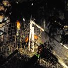 normal_29112011brandmbaktivnews009.JPG
