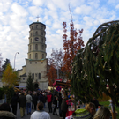 113_2166_JPG-1322692127