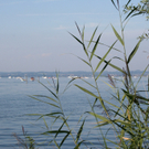 Glashaus_Seeblick_B.JPG