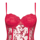 triumph_daring_temptation_CRS_still_aw2011.jpg