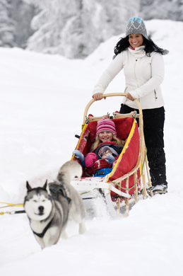 arctic wolf kennel im einsatz-by daniel mock.jpg