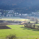 DSCN8135_jpg-1322815126