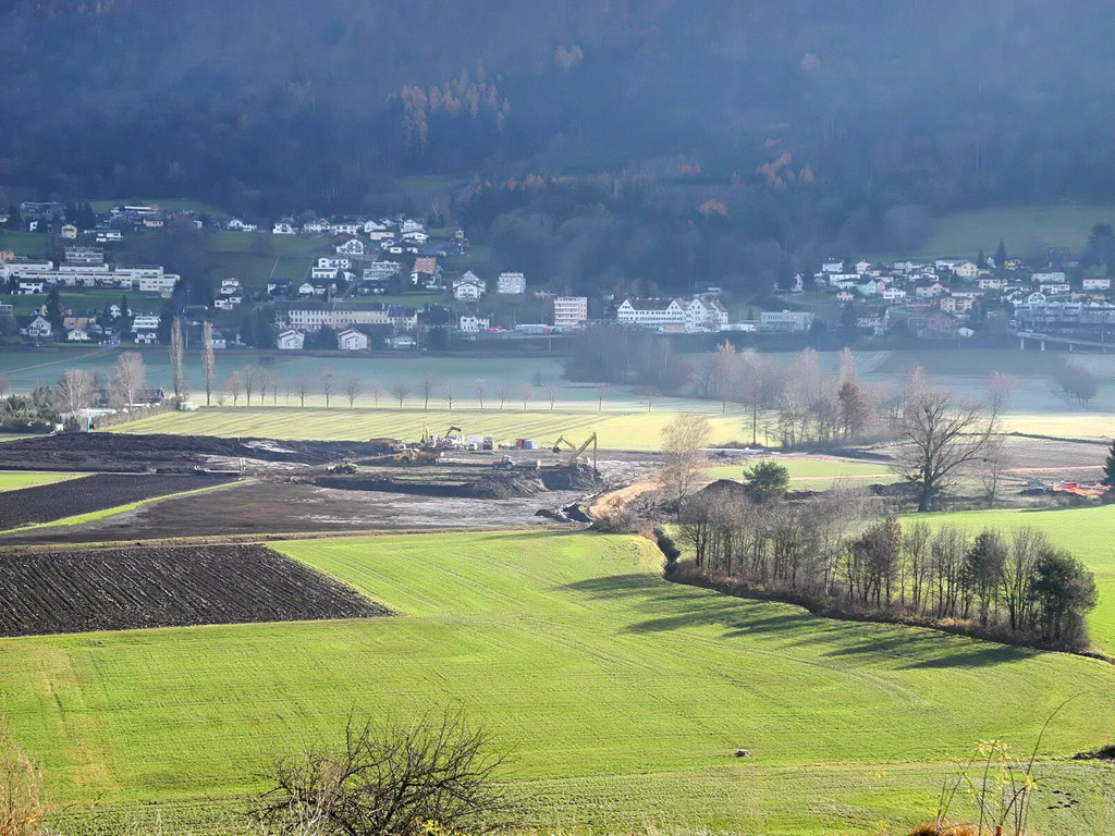 DSCN8135_jpg-1322815126