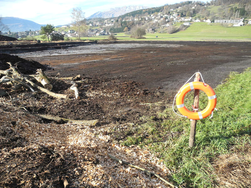 DSCN8138_jpg-1322815162