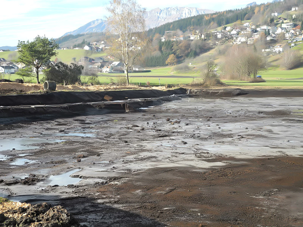 DSCN8139_jpg-1322815180