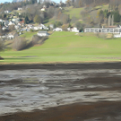 DSCN8140_jpg-1322815193