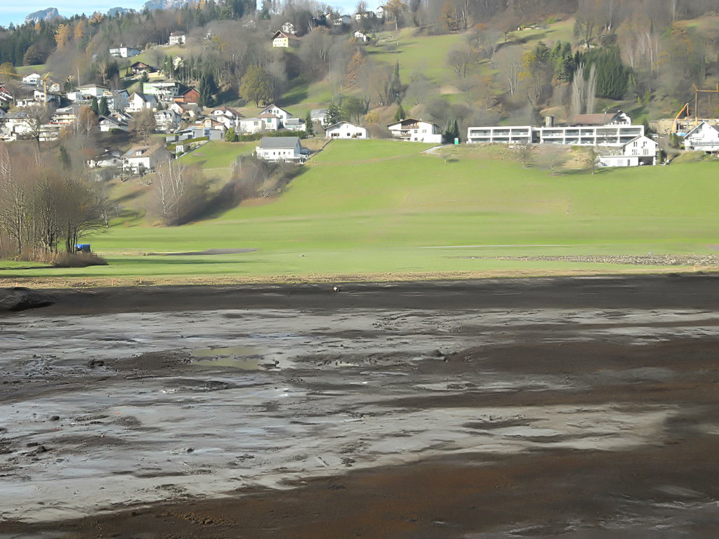 DSCN8140_jpg-1322815193