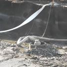 DSCN8141_jpg-1322815207