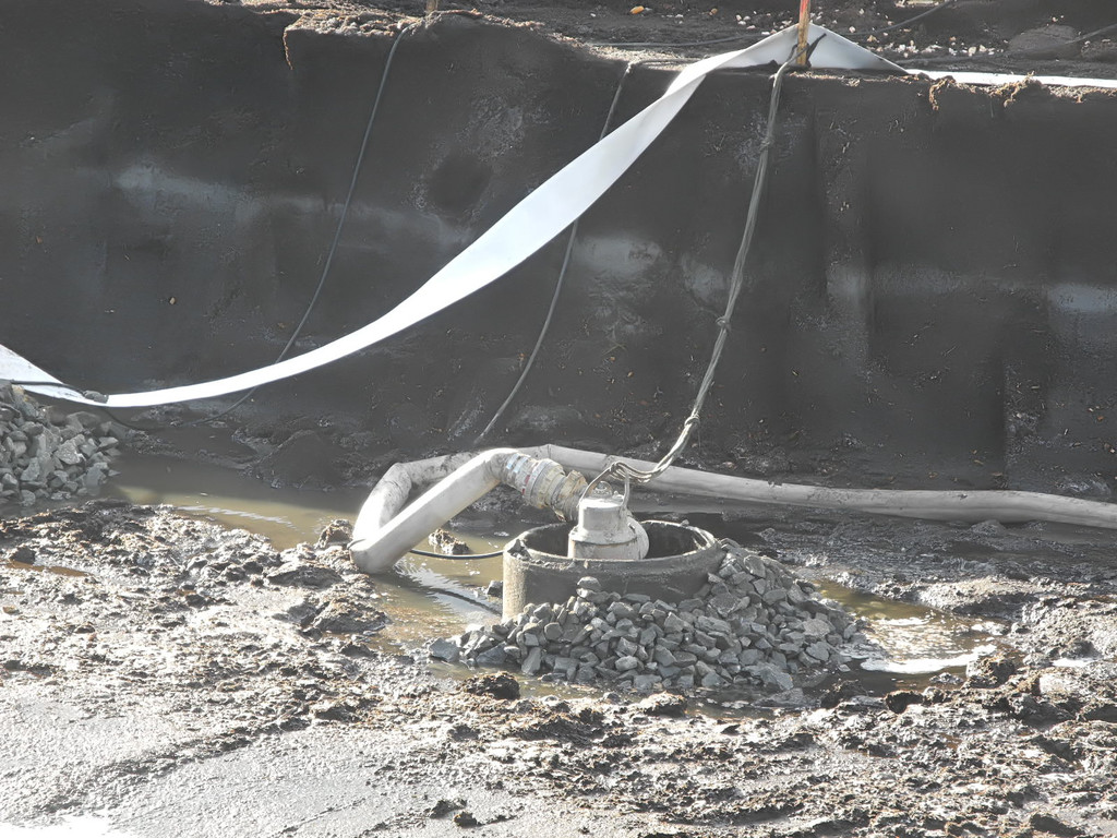 DSCN8141_jpg-1322815207