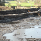 DSCN8142_jpg-1322815226