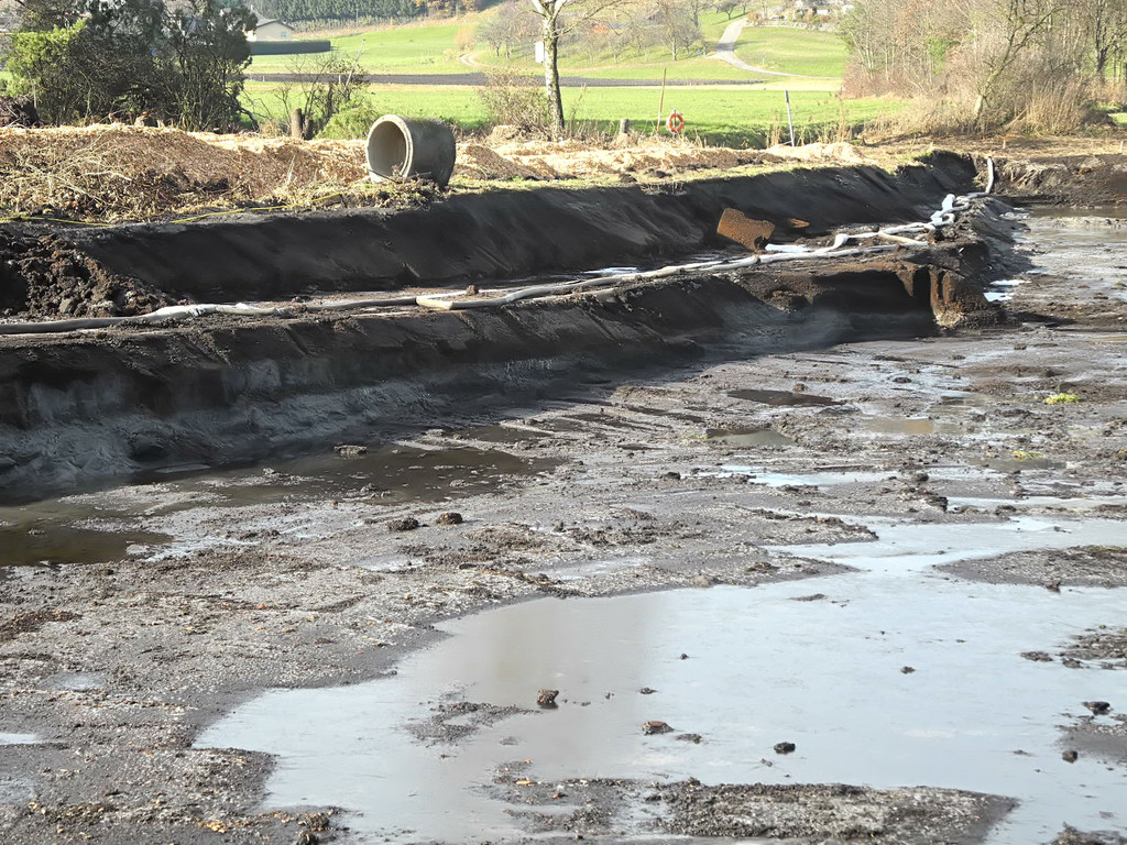 DSCN8142_jpg-1322815226