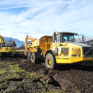 DSCN8144_jpg-1322815257