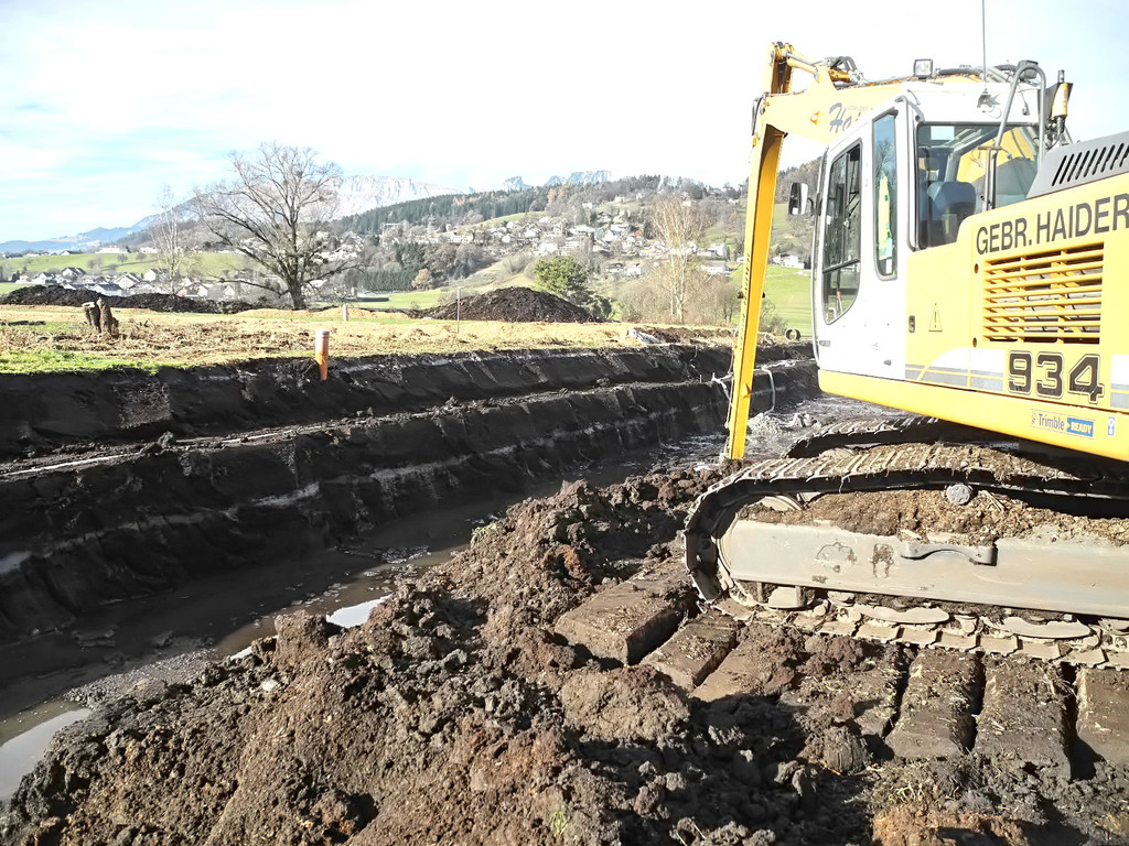 DSCN8145_jpg-1322815274