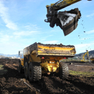 DSCN8146_jpg-1322815288