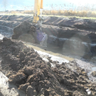 DSCN8147_jpg-1322815308