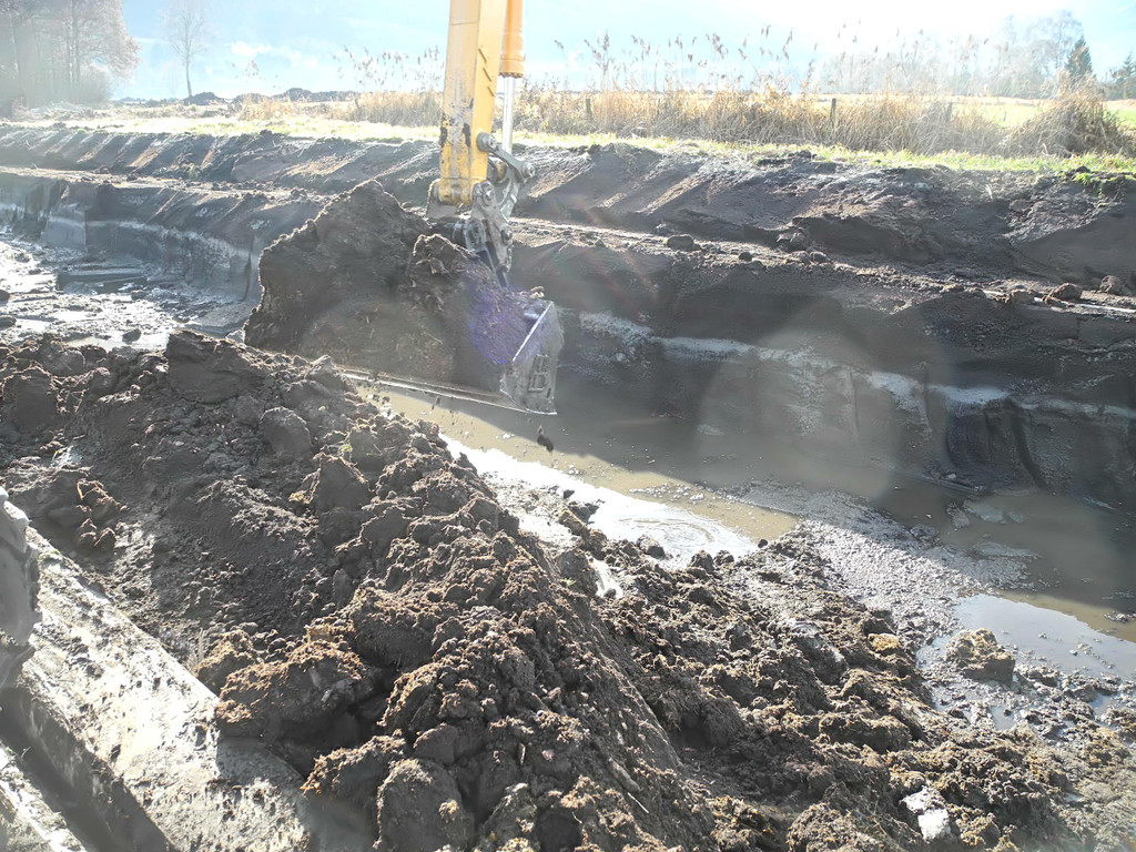 DSCN8147_jpg-1322815308