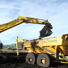 DSCN8152_jpg-1322815408