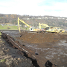 DSCN8155_jpg-1322815468